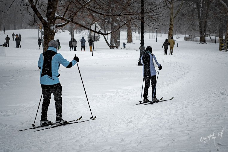 Langläufer im Prospect Park