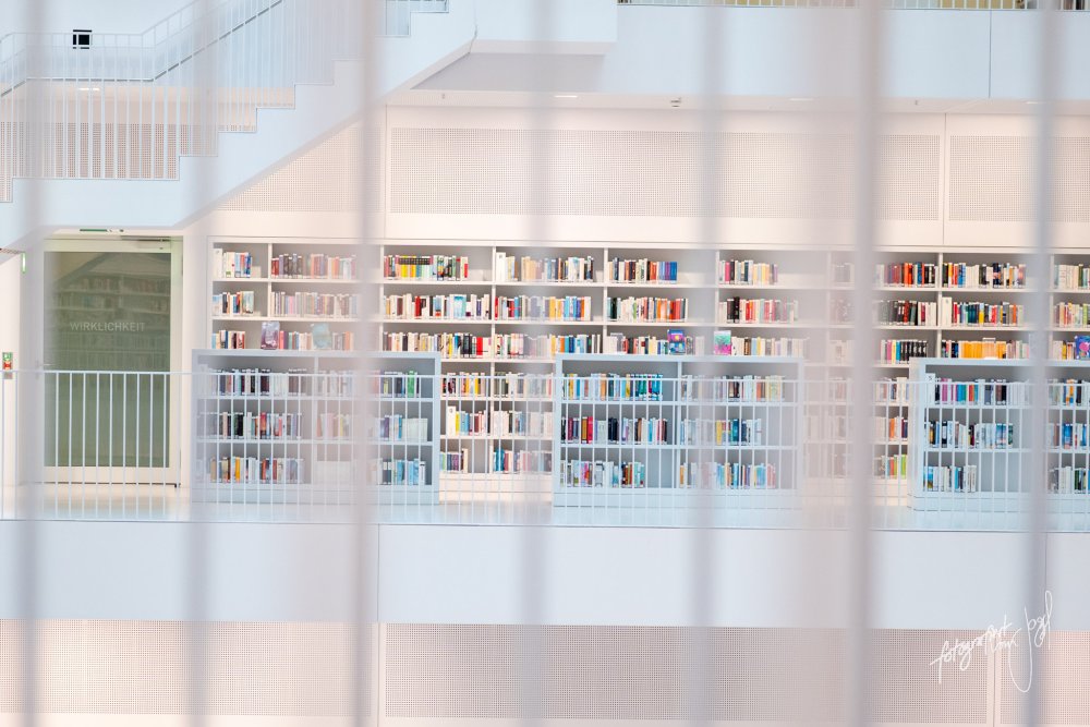 Bücher hinter Linien