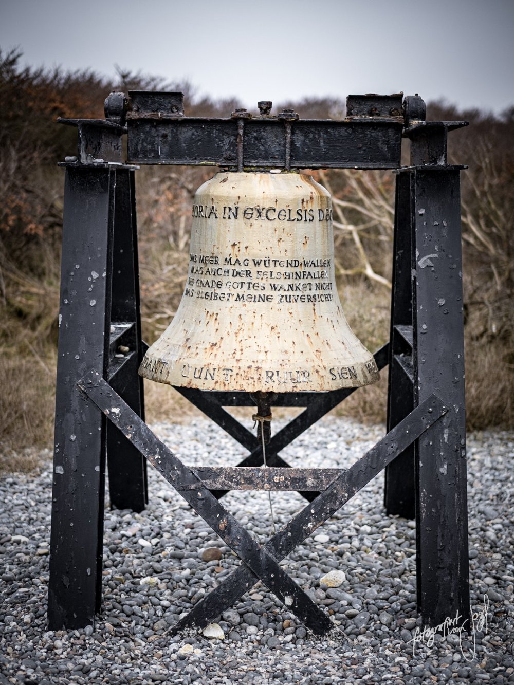 Dünenglocke