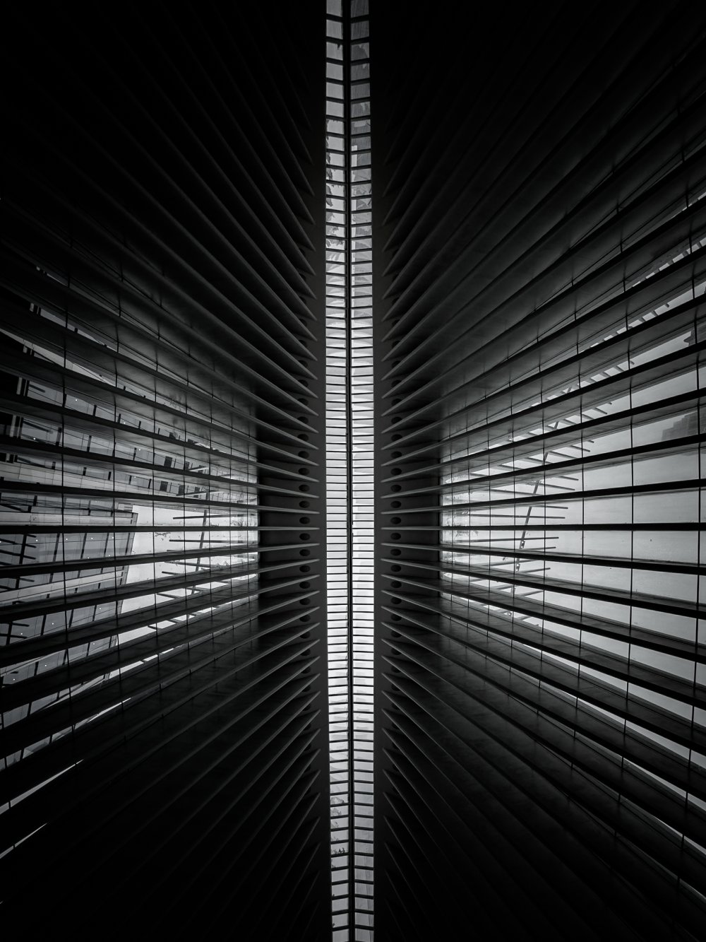 Blick in den Oculus