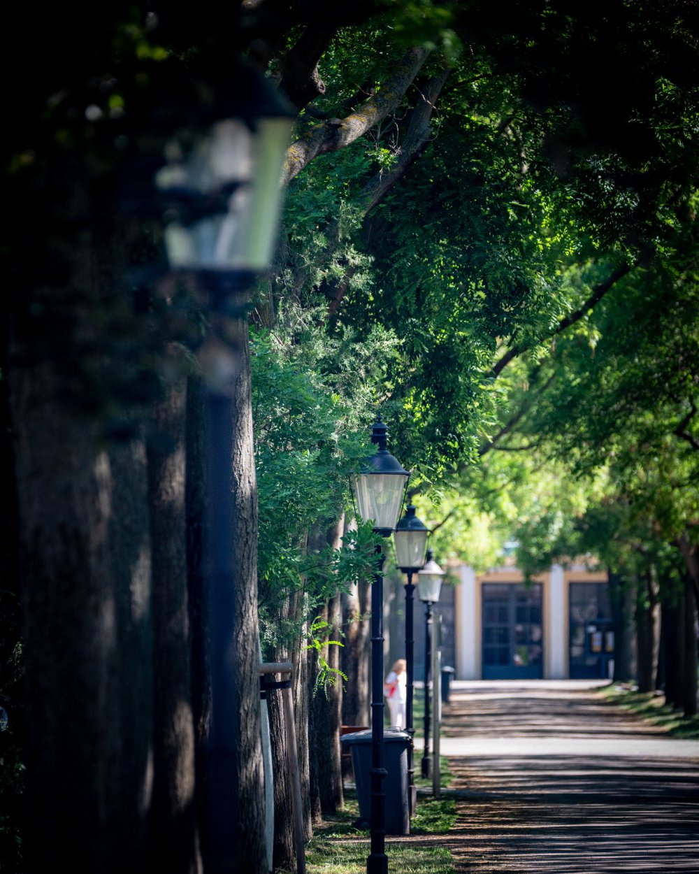 Allee mit Laternen