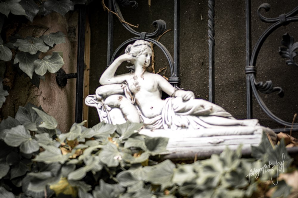 Die Schöne und das Grün