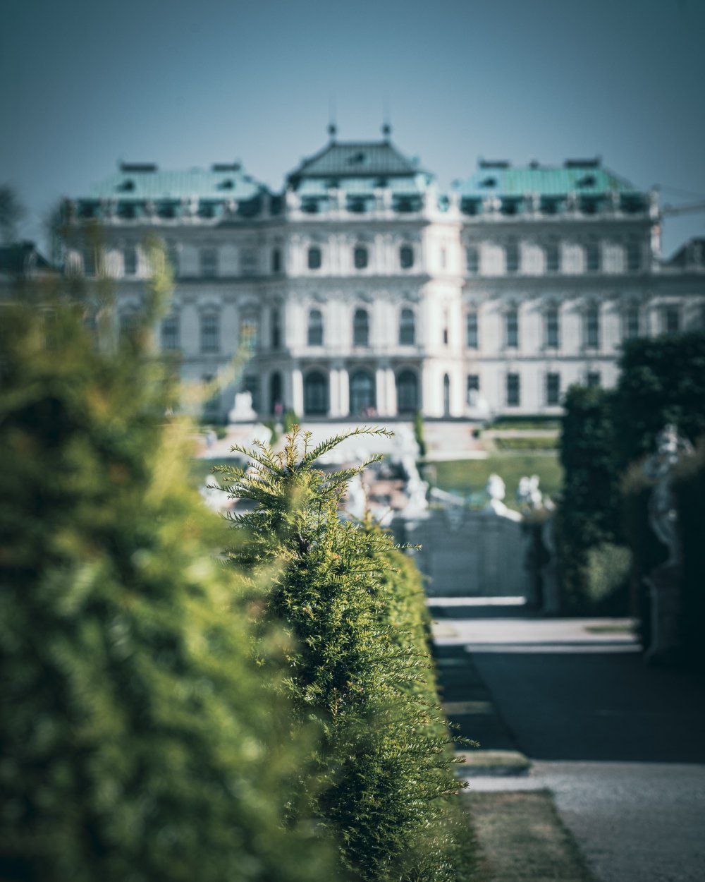Hecke vor einem Palais