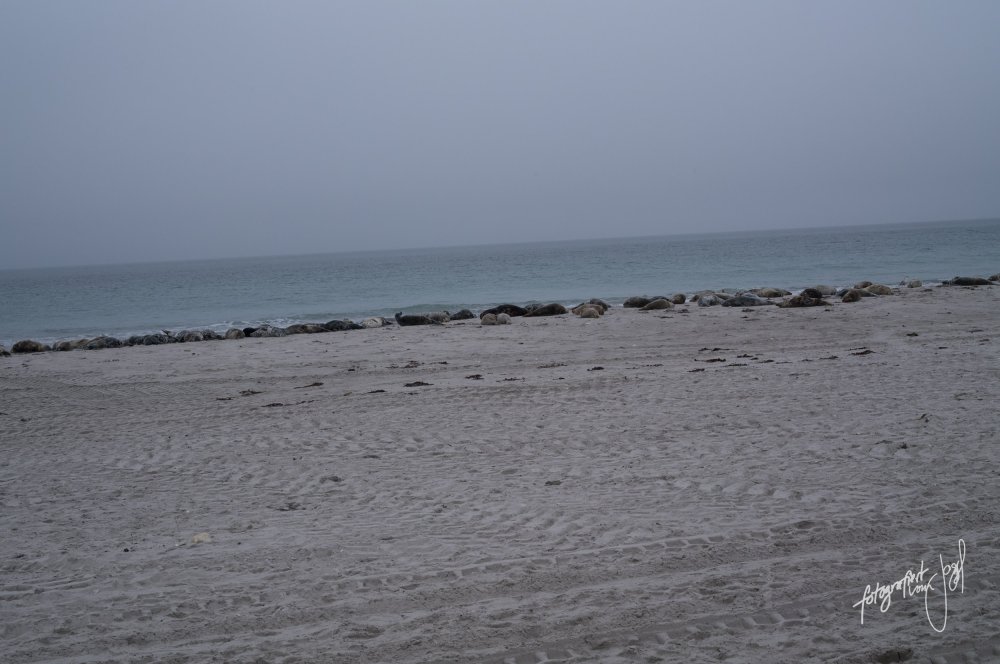 Steinreihe am Strand